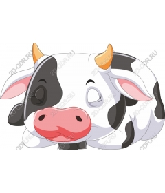 Bizarre cartoon cow