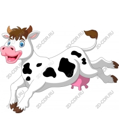 Playful jump cows