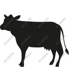  Black Cow