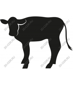  Black Cow