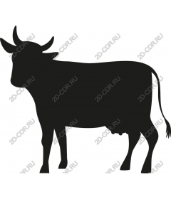  Universal cow