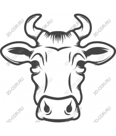 The majestic head of a cow