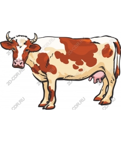  Cartoon cow