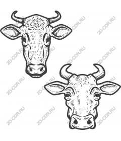 The set of a cow's head in the rustic style