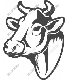  Black and white cow head