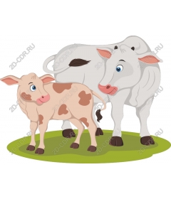  Adorable cow and calf