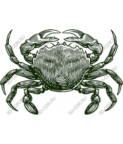 Vintage crab