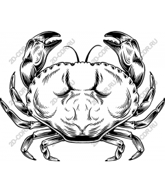  Элегантный краб