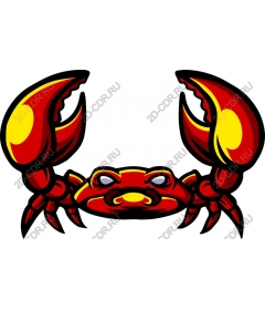  Bright red crab