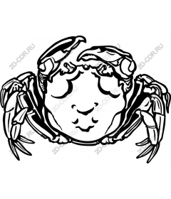  Fancy crab