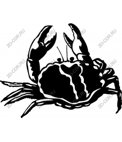  Art crab