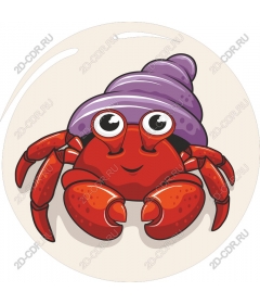  Adorable hermit crab