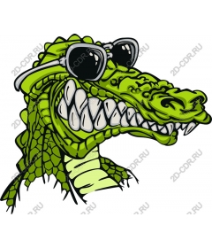  Cool crocodile in sunglasses