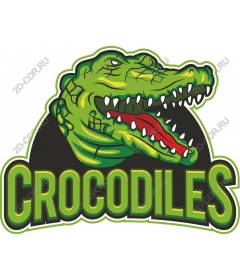  Ferocious crocodile