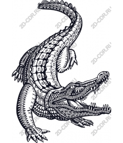 Dynamic black and white crocodile