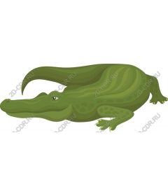  Fancy green amphibian