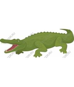  Bright green crocodile