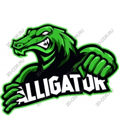 Alligator