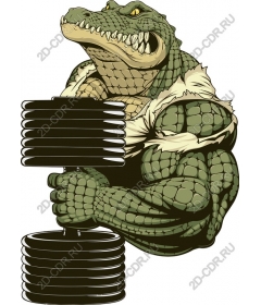  Crocoworkout: мускулистый крокодил-тяжелоатлет