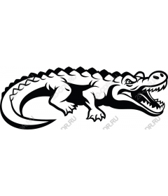  Ferocious crocodile
