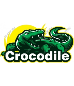  Crocodile