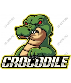  Ferocious crocodile