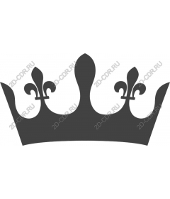  Elegant crown