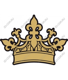  Elegant gold crown