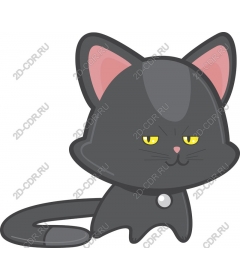  Charming black cat