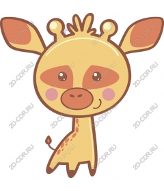  Adorable giraffe