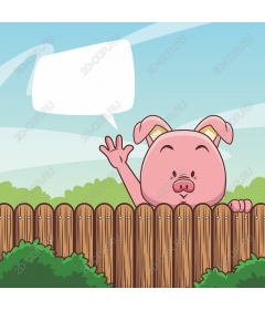  Adorable pig