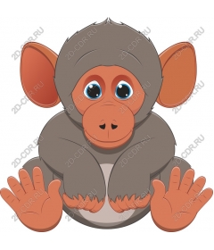  Cute playful monkey