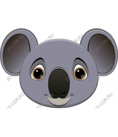  Adorable Koala bear