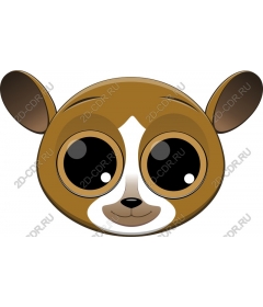  Cute face animal