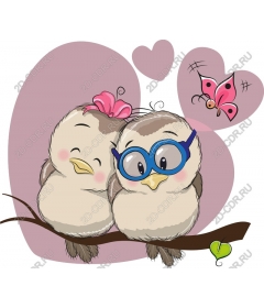  Charming the birds-lovers