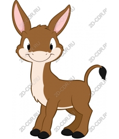 Playful young donkey
