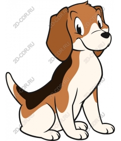 Playful Beagle puppy