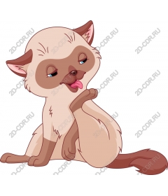  Игривый кот