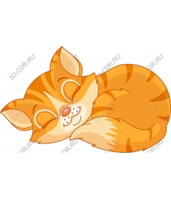 Sleeping red cat