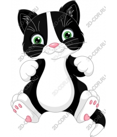  Quirky black-and-white kitten