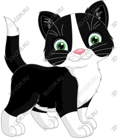  Игривый котенок