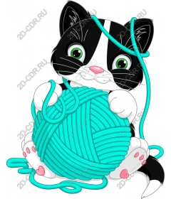 Playful kitty with yarn