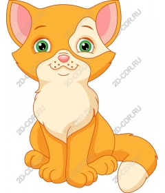  Charming orange cat