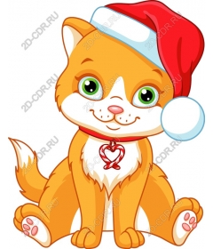  Cute Christmas cat