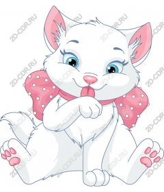 Playful white kitten