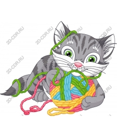  Colorful kitten and yarn
