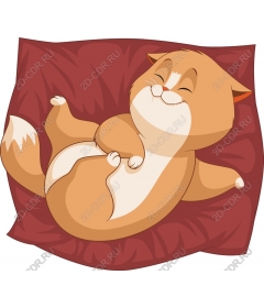  Cozy sleeping cat