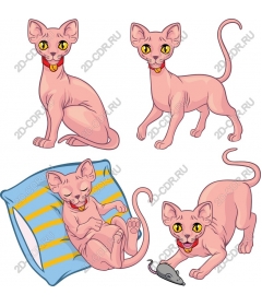  Игривый комплект для кошек-сфинксов