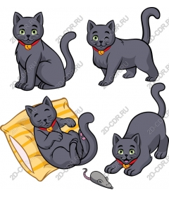  Set "Playful gray cat"