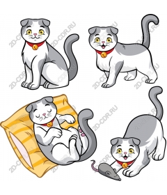 Sparkling Scottish Fold Cat Collection